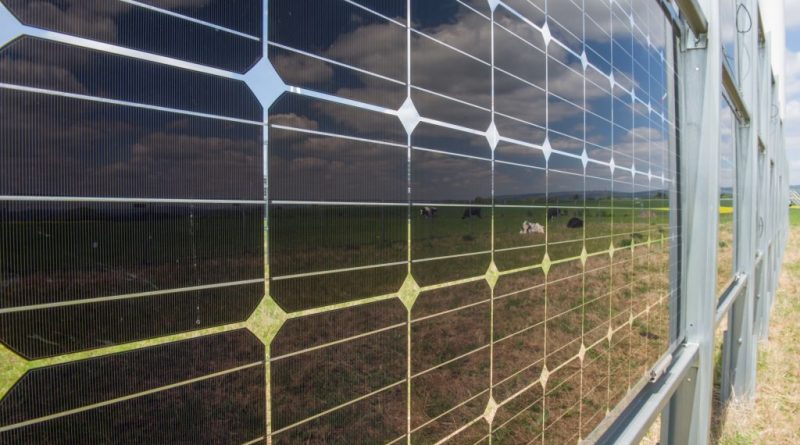 Photovoltaik Zaun
