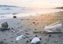 enzym-zersetzt-plastik