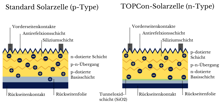 TOPCon-Solarzelle oder N-Type-Solarzelle: Aufbau einfach erklärt